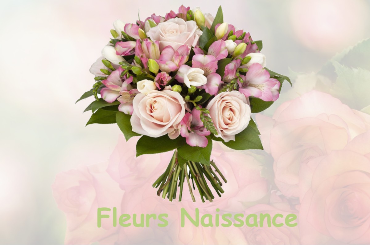 fleurs naissance VILLEFRANCHE-DE-ROUERGUE